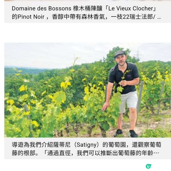 酒佬到瑞士 $200飲勻薩蒂尼區佳釀