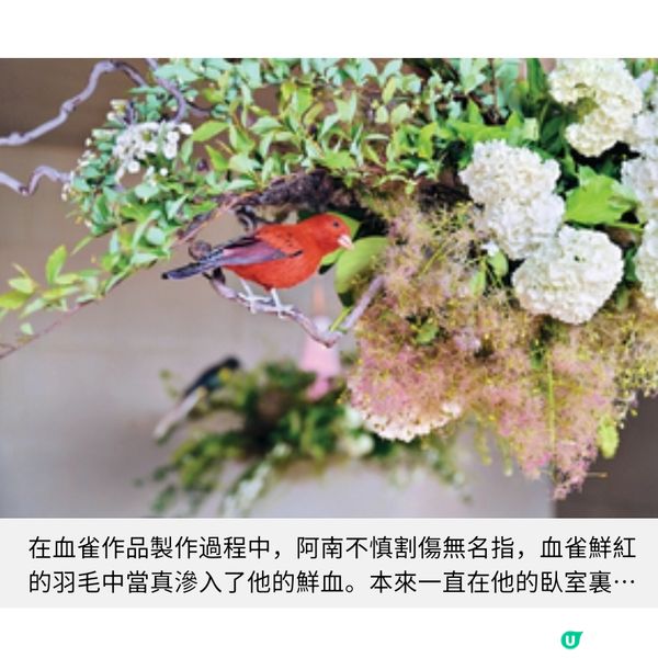 北京直擊非遺藝術體驗 紙藝雀鳥百年食店跨界美學