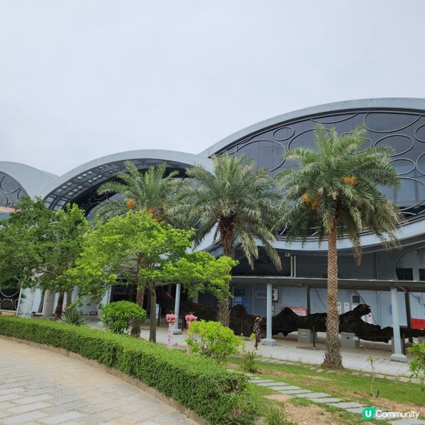 南海一號博物館🚢