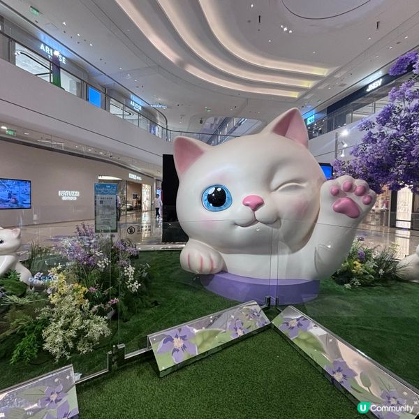 中國/珠海✨治癒系貓咪快閃展🐱