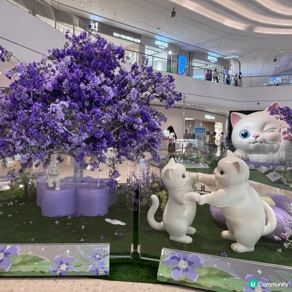 中國/珠海✨治癒系貓咪快閃展🐱