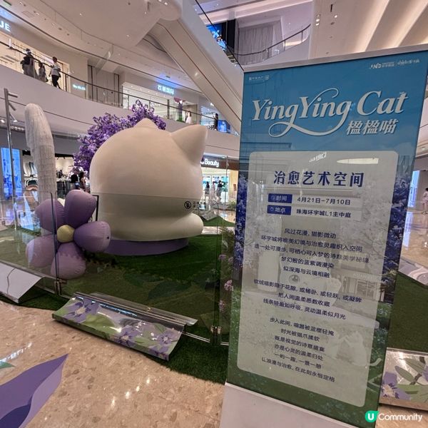 中國/珠海✨治癒系貓咪快閃展🐱