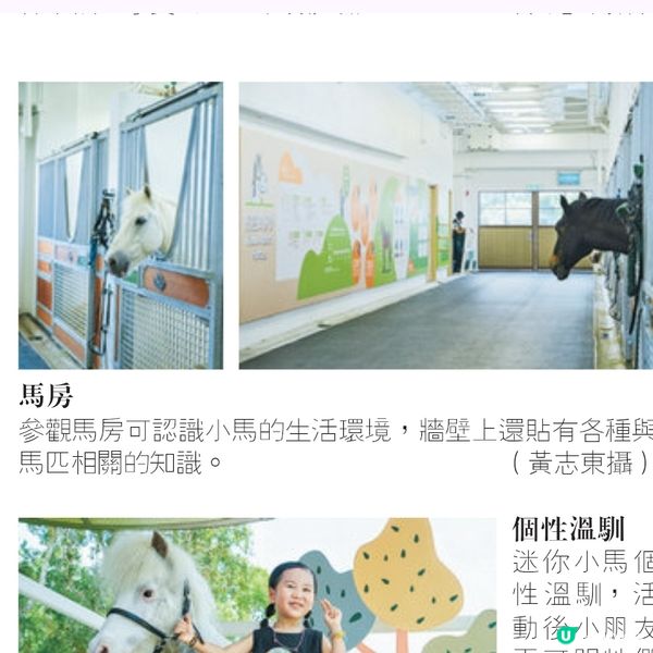 好去處：彭福公園 小馬大本營 近距離接觸小馬 享受策騎體驗