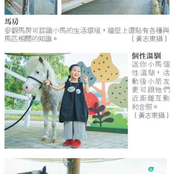 好去處：彭福公園 小馬大本營 近距離接觸小馬 享受策騎體驗