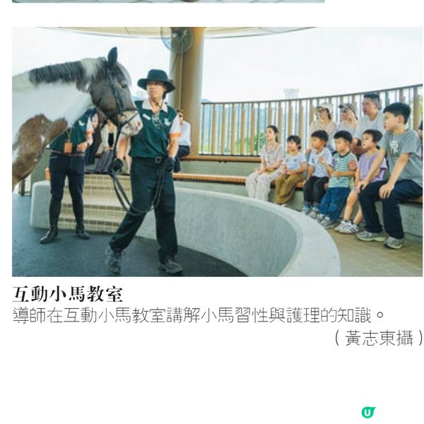 好去處：彭福公園 小馬大本營 近距離接觸小馬 享受策騎體驗