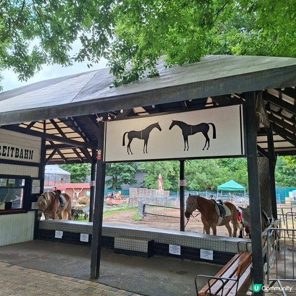 ✨維也納旅遊好去處🥰普拉特公園🎢免費入場🎠