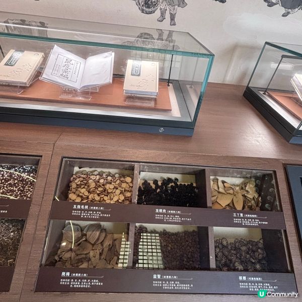中國/珠海中醫藥文化館打卡＋養生體驗攻略🧑‍⚕️✨