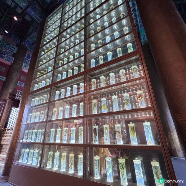 中國/珠海中醫藥文化館打卡＋養生體驗攻略🧑‍⚕️✨