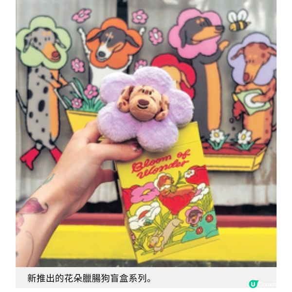 曼谷爆紅臘腸狗Cafe 可愛狗店長助陣 必抽限量盲盒