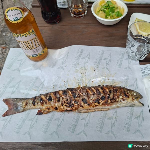 ✨️奧地利馳名烤魚餐廳🐟欣賞Traunsee超美麗湖景🥰