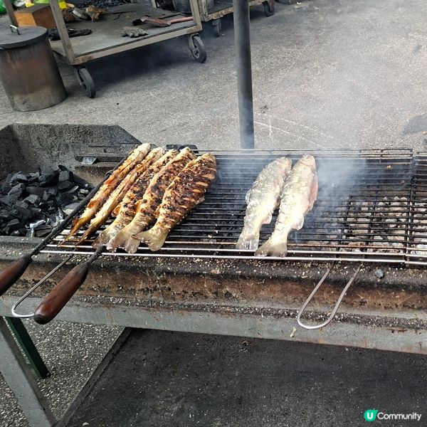 ✨️奧地利馳名烤魚餐廳🐟欣賞Traunsee超美麗湖景🥰