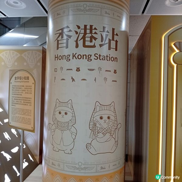 古埃及展熱爆！🤖先搵鐵仔法老貓打卡！🐈👑