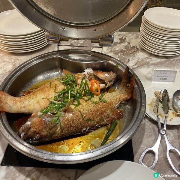 Hotel COZI 😍海陸珍萃😋龍蝦 🦞片皮鴨🦆滋味盛宴
