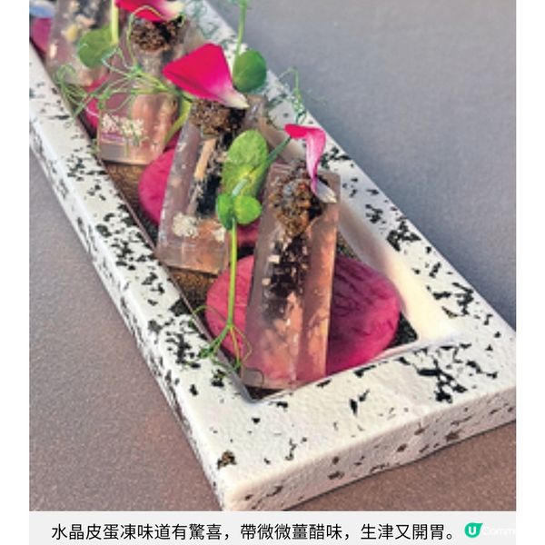 尖沙咀頂樓中菜廳眺望維港 中西合璧招牌菜獨樹一幟