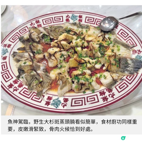 沙爹乳豬熟成鴿