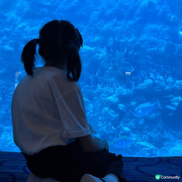 小朋友有一整年冇去海洋公園,一直都話要探斑海豹,但係北極之旅...