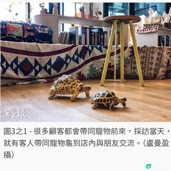 寵物友善cafe 擁抱180度海景放空