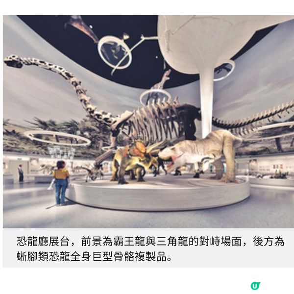 聽見地球46億年的呼吸走進深圳自然博物館