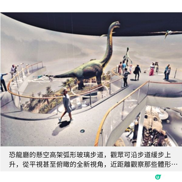 聽見地球46億年的呼吸走進深圳自然博物館