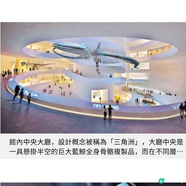 聽見地球46億年的呼吸走進深圳自然博物館