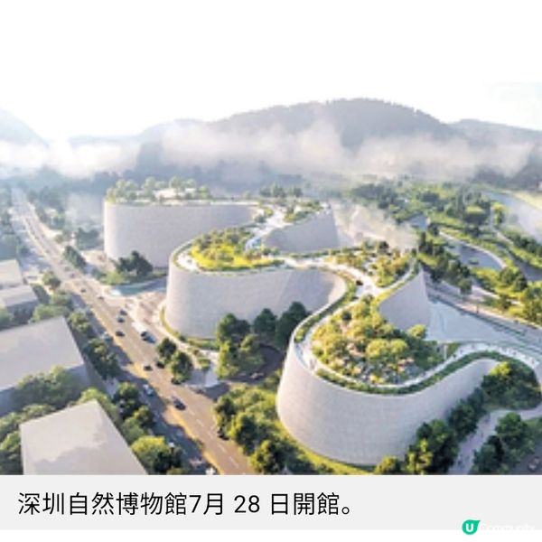 聽見地球46億年的呼吸走進深圳自然博物館