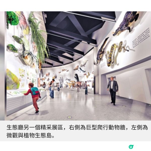 聽見地球46億年的呼吸走進深圳自然博物館