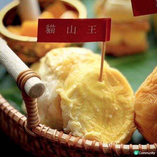 細味東南亞@獅房菜Lion Rock
