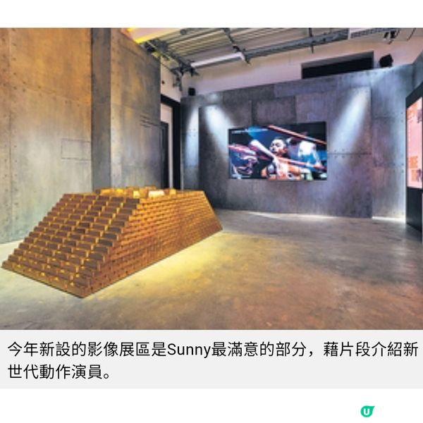 美指張蚊受低潮啟發新方向 陳詠燊借策展談港人互撑精神