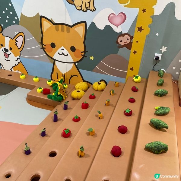The Wiggle Room感統室內遊樂場🥳