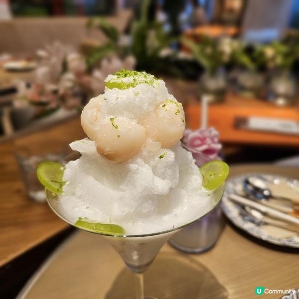 [啟德站 山林綠洲中進餐 治癒系美食]
