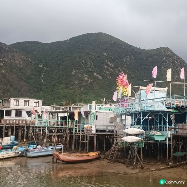 棚屋漁村一日遊！🐬🌅