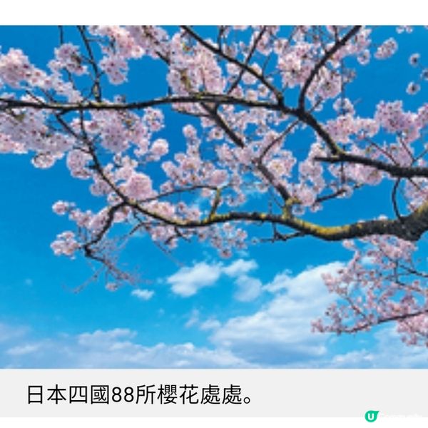 香港書展旅悅人生 眼睛看旅行