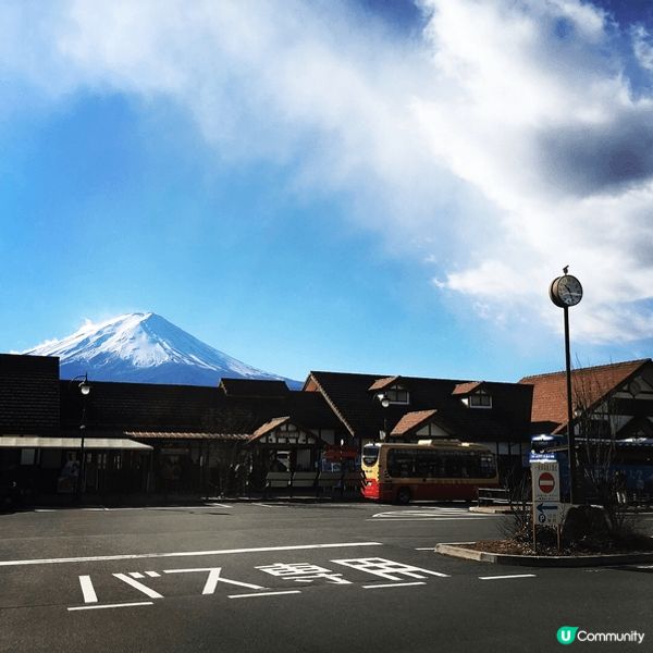 日本旅遊景點包括不同角度的富士山，紅楓，櫻花及油菜花