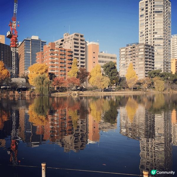 日本旅遊景點包括不同角度的富士山，紅楓，櫻花及油菜花