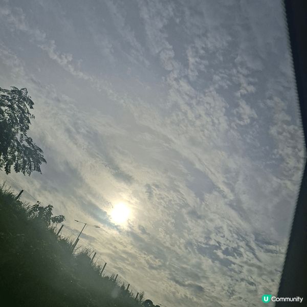 夏日炎炎，最啱食當然係涼沉沉既甜品！7月係飛鼠既生日，所以我...