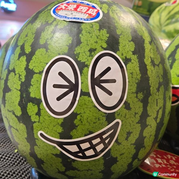 日本鳥取縣西瓜🍉