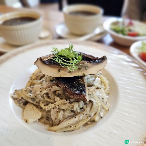 [貓cafe•免入場費•不限時•可領養]