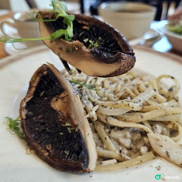 [貓cafe•免入場費•不限時•可領養]
