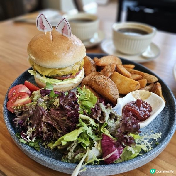 [貓cafe•免入場費•不限時•可領養]