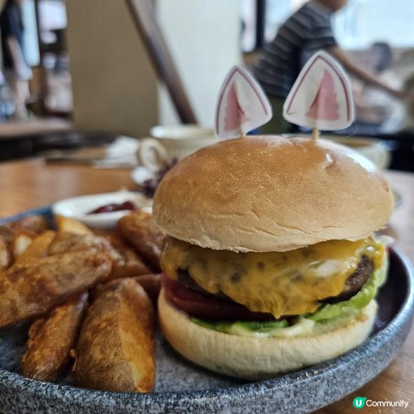 [貓cafe•免入場費•不限時•可領養]
