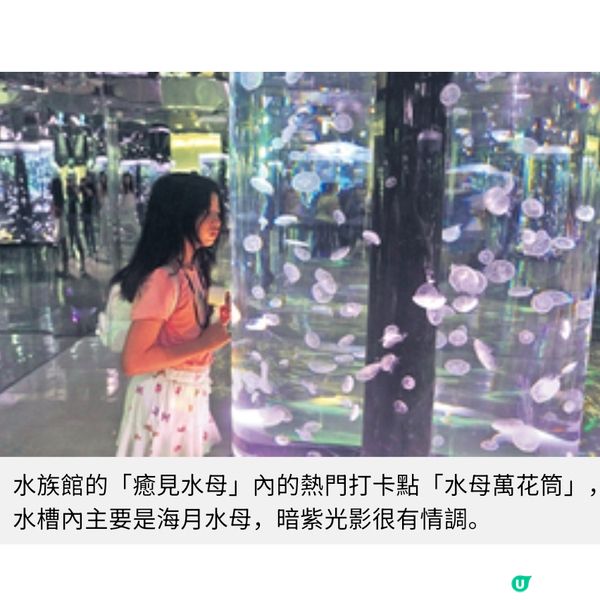 台灣暑假親子樂桃園遊日系水族館
