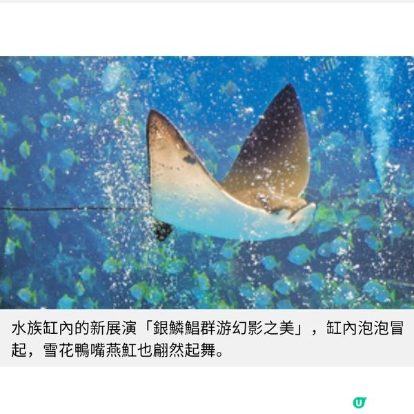 台灣暑假親子樂桃園遊日系水族館