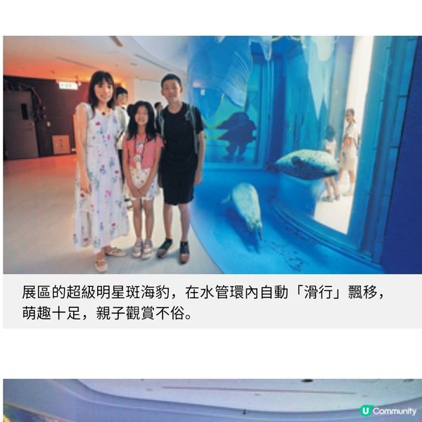 台灣暑假親子樂桃園遊日系水族館