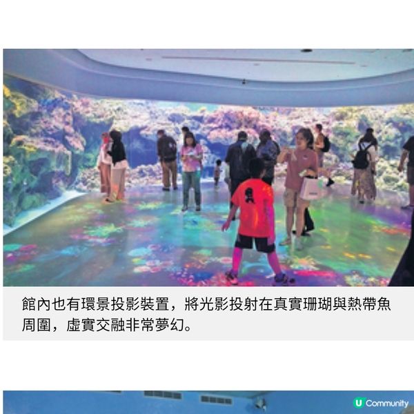 台灣暑假親子樂桃園遊日系水族館