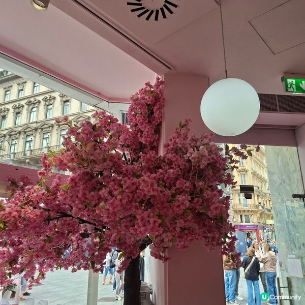 維也納Aida Cafe Konditorei餐廳介紹分享