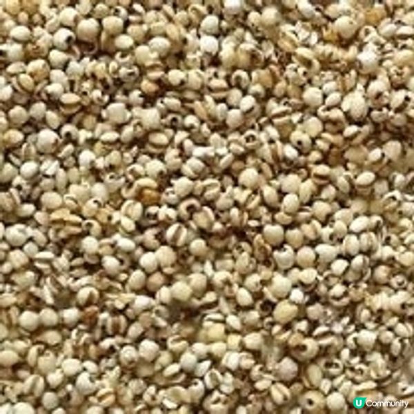 養生素食湯水篇：荷葉冬瓜薏芢湯


