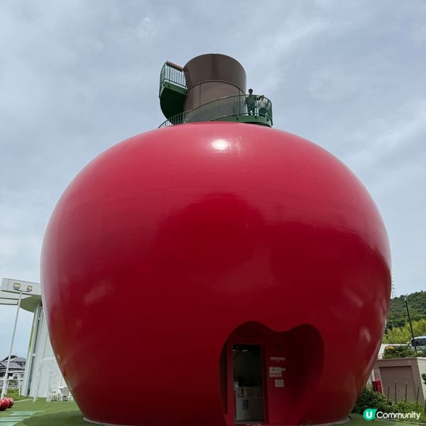 淡路島 巨型蘋果！