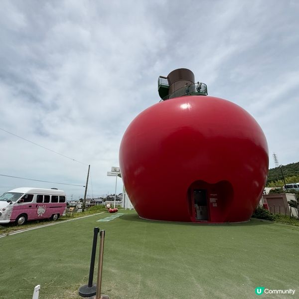 淡路島 巨型蘋果！