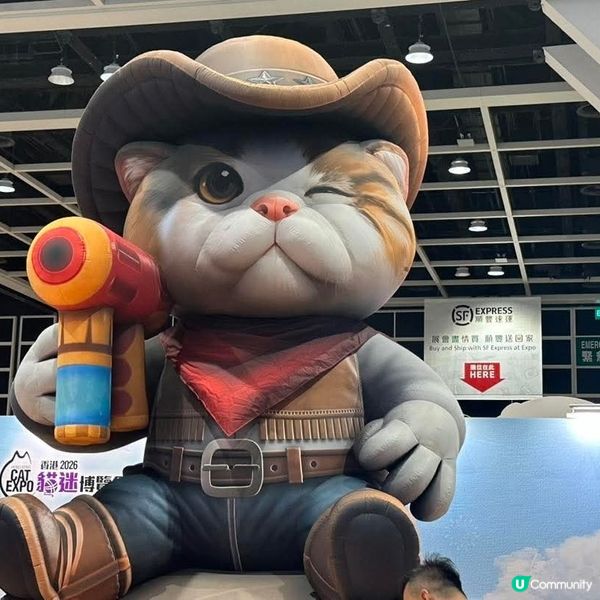 香港貓迷博覽會2026 🐈 現場狀況率先睇