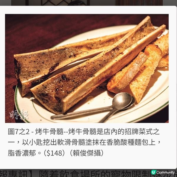 寵物餐廳圍桌進餐 與狗狗齊「鋸扒」